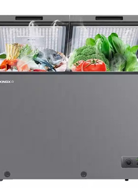 TXINGX/星星 BD/BC-256R