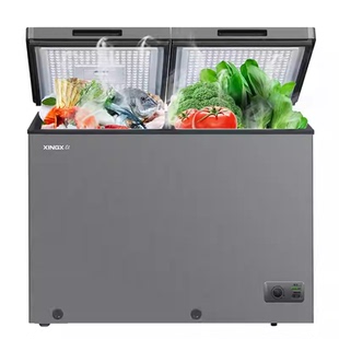 TXINGX/星星 BD/BC-256R