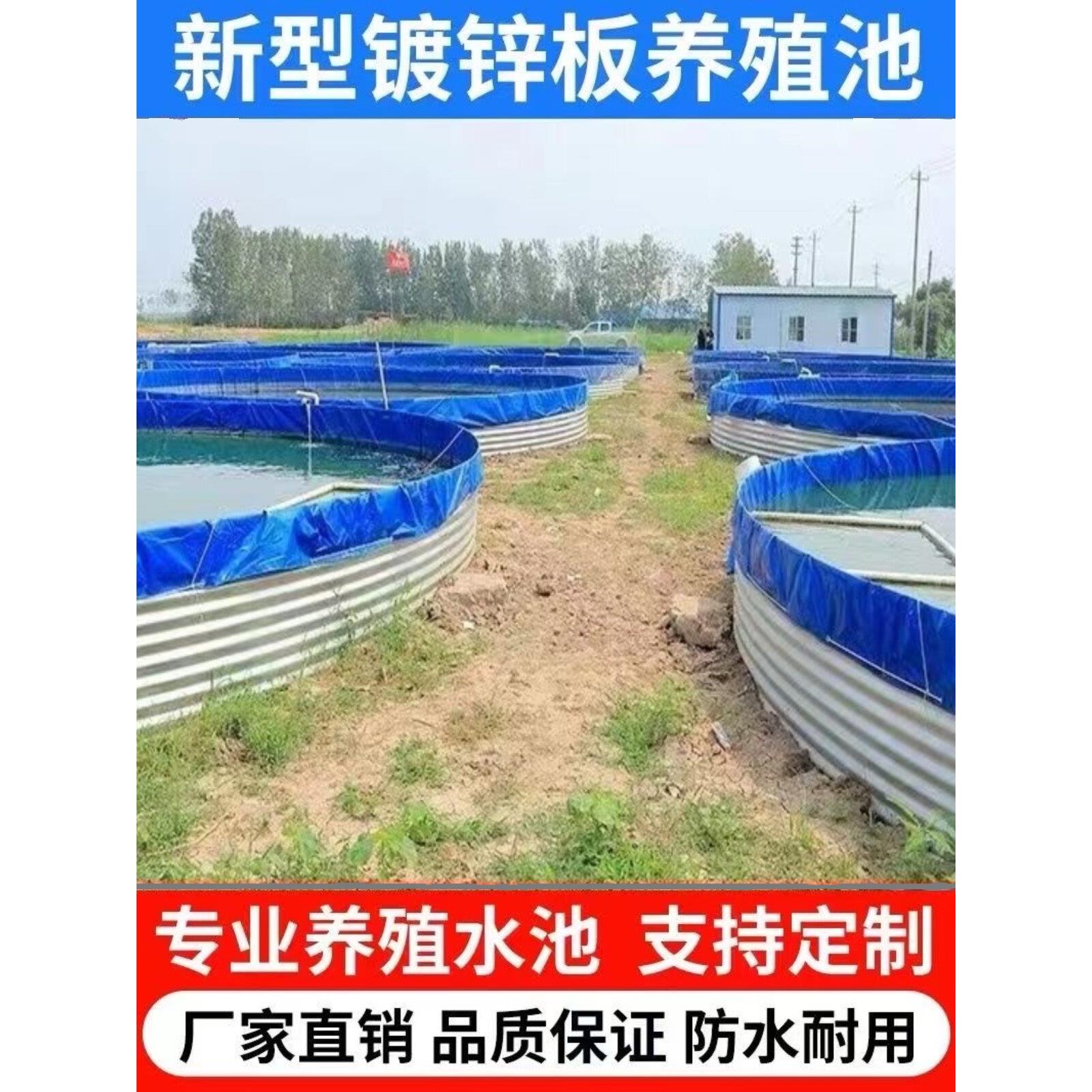 大型镀锌板帆布鱼池高密度养殖池加厚防水刀刮布蓄水池养鱼池全套