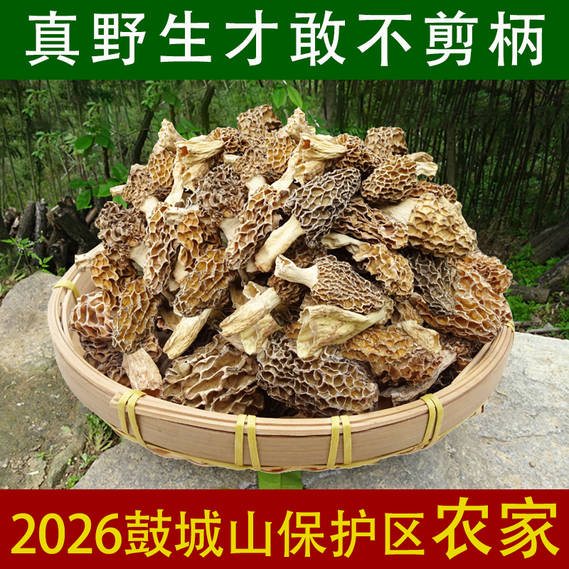 野生羊肚菌干货精选鼓城山深山纯天然羊蘑菇500g比西藏云南更好