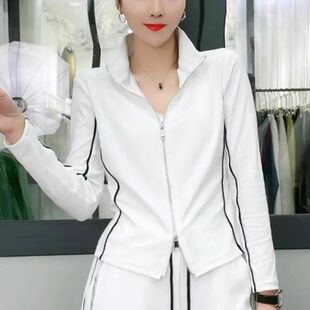 双头拉链棉料立领黑色修身显瘦百搭短款女士打底衫春款T恤时尚款