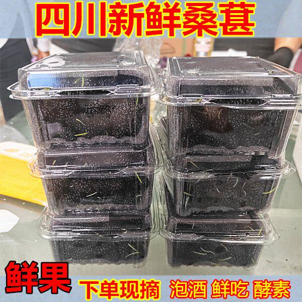 【四川】新鲜桑葚现摘现发黑桑椹鲜孕妇水果桑葚泡酒酵素鲜果鲜吃