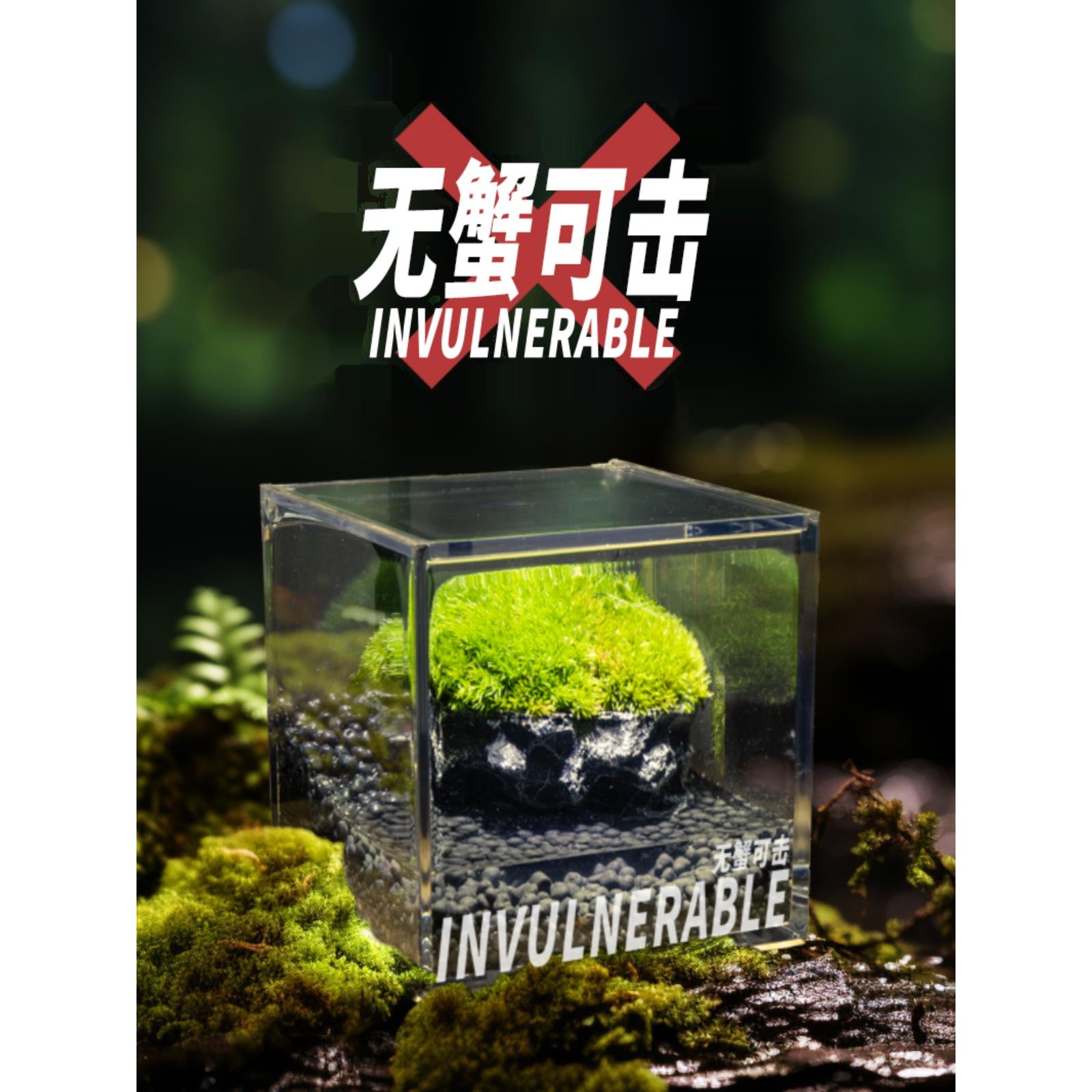 丘辰青苔藓微景观生态瓶办公室内绿植桌面种植小盆栽景观螃蟹缸