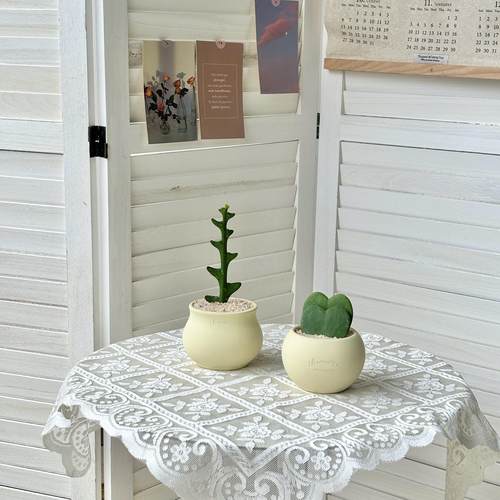 多肉植物组合盆栽幼儿园肉肉无刺绿植花卉懒人新手好养办公室鱼骨