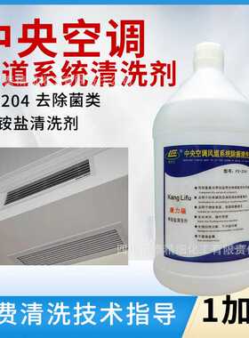 弗兰士fs204空调除味剂风道清洁除臭风机盘管散热清洗剂除霉剂