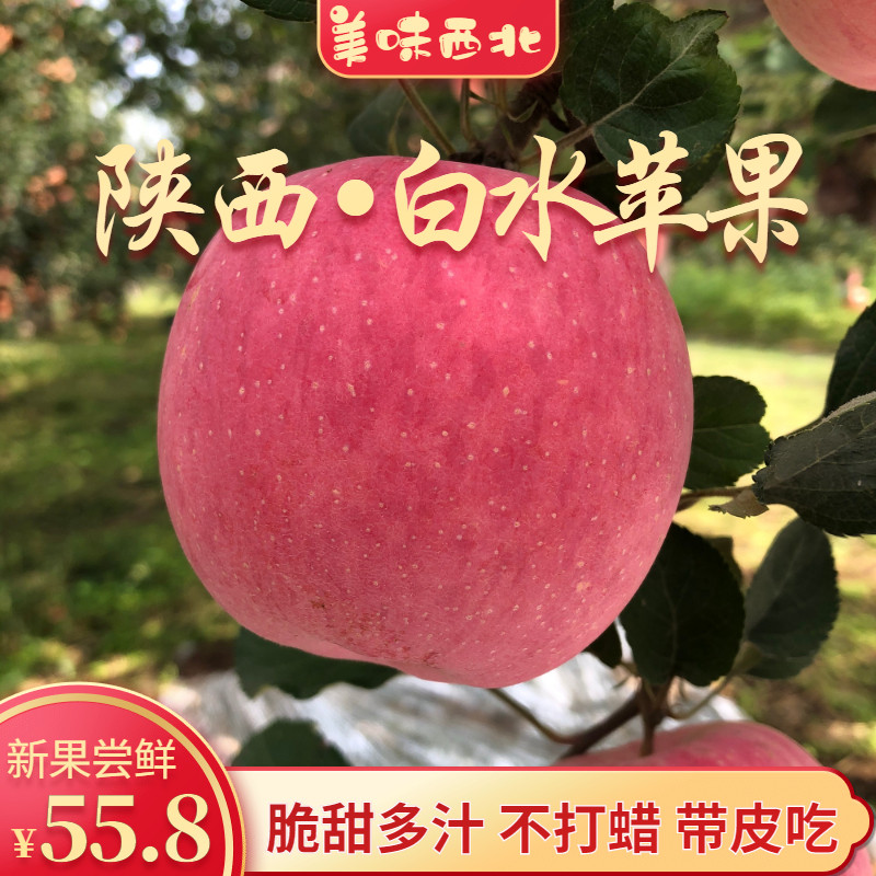苹果水果新鲜陕西红富士白水苹果大果新鲜正宗当季冰糖心脆甜孕妇,水产肉类/新鲜蔬果/熟食,苹果,淘宝优惠券,粉丝福利购,淘宝优惠卷
