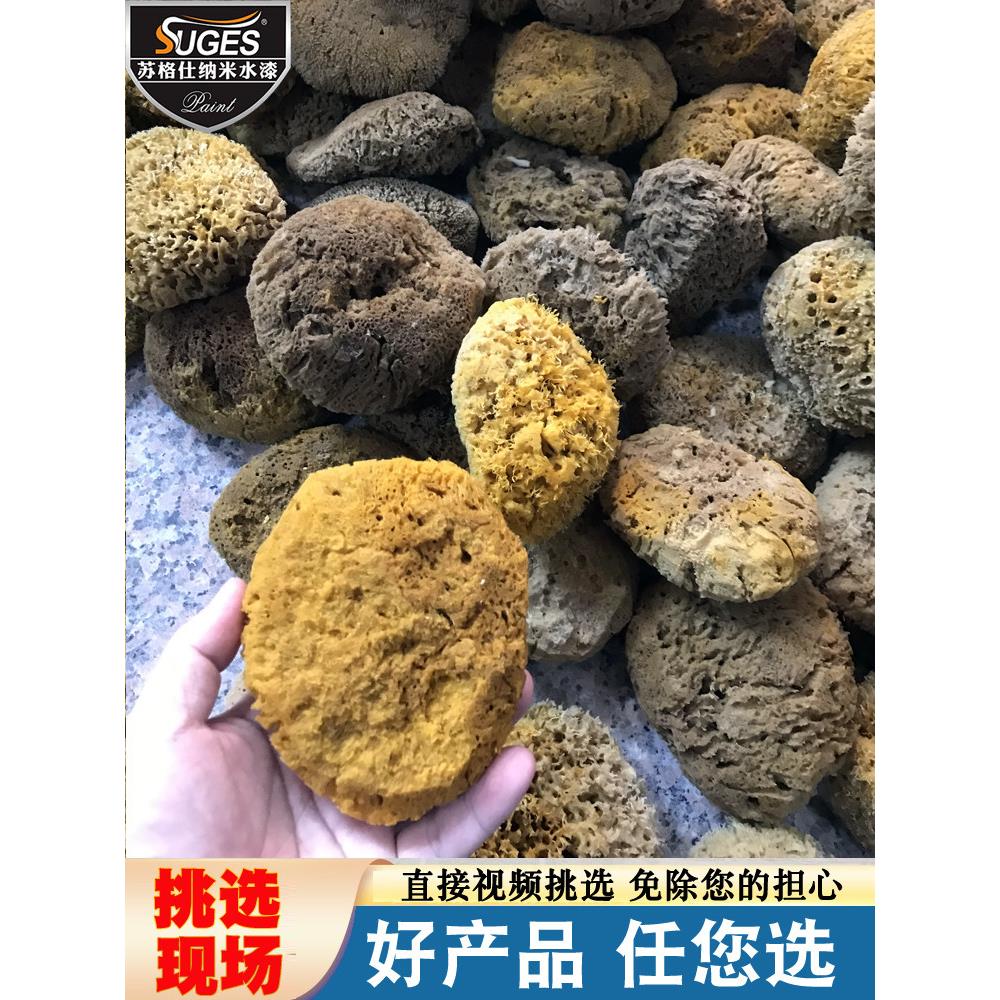 进口天然老海藻绵三色珠光幻彩漆海藻棉艺术漆涂料点彩印花工具