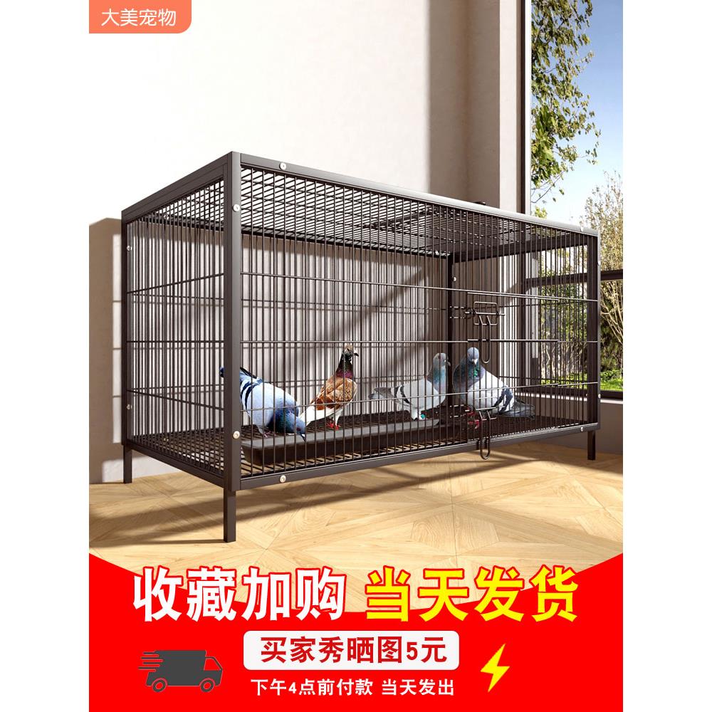 鸽子笼专用养殖笼子家用大号特大号铁丝网新款户外繁殖配对笼鸽窝