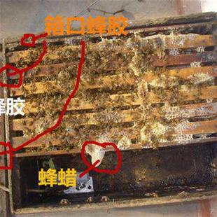 20套一件组装 春繁秋繁饲喂盒 新蜂具 第七代蜜蜂自动饲喂器饮水器