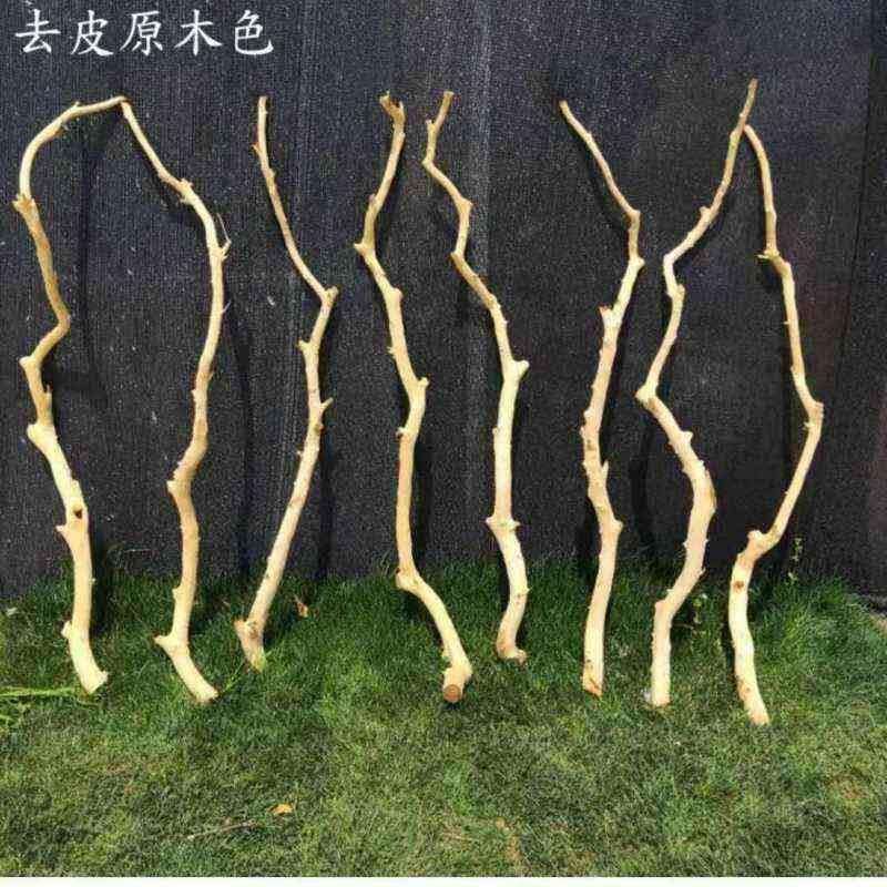 白树枝剥皮枯树杆桔子树去皮白枝杆控龙骨装饰物橱窗摆放