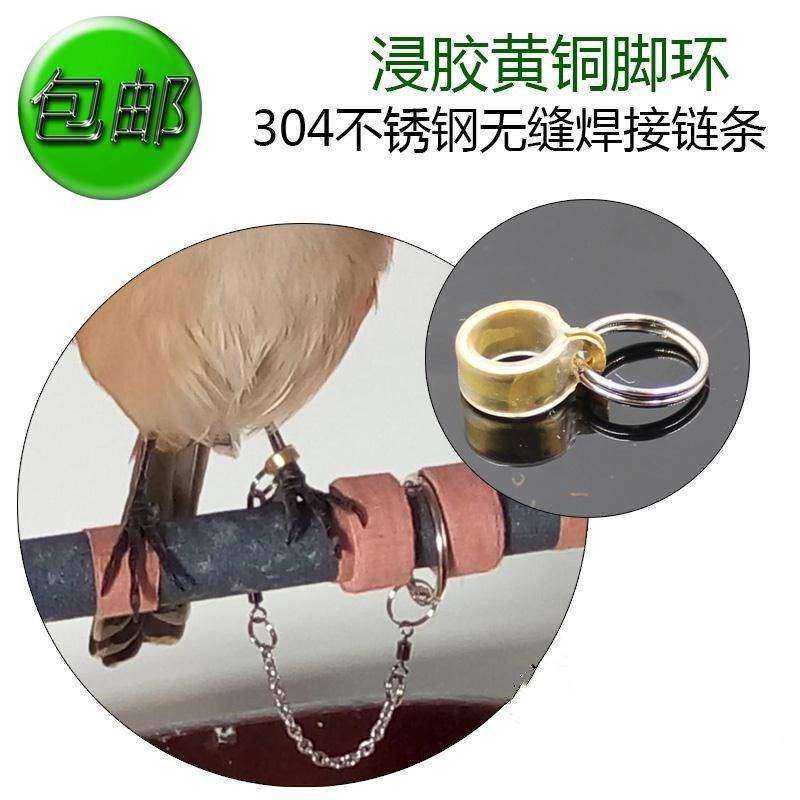 小型鸟链放飞绳/遛鸟绳/护腿/鹦鹉脚环/白头翁伯劳画眉脚套脚链m