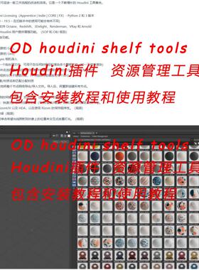 Houdini20插件资产管理工具包 -OD Houdini Shelf插件 持续更新