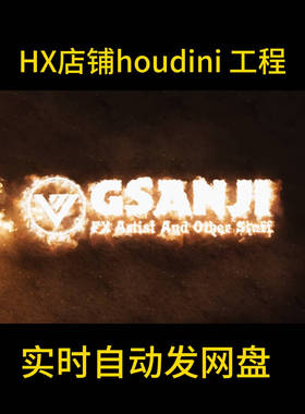 houdini 20.5pyro解算火焰成字体工程文件 自动发货