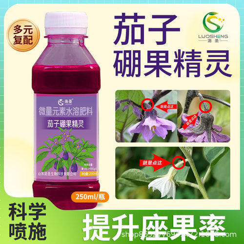 洛圣茄子硼果精灵点花授粉涂抹花梗提高座果科学喷施肥料果型美观
