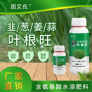 因艾氏叶根旺韭菜大葱大姜大蒜干尖黄叶喷剂生根壮苗增加叶绿素