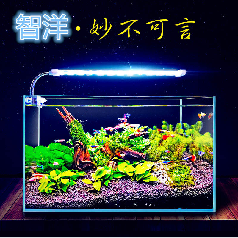 鱼缸水草LED灯水族箱照明水族迷你夹灯双排LED蓝白光新品