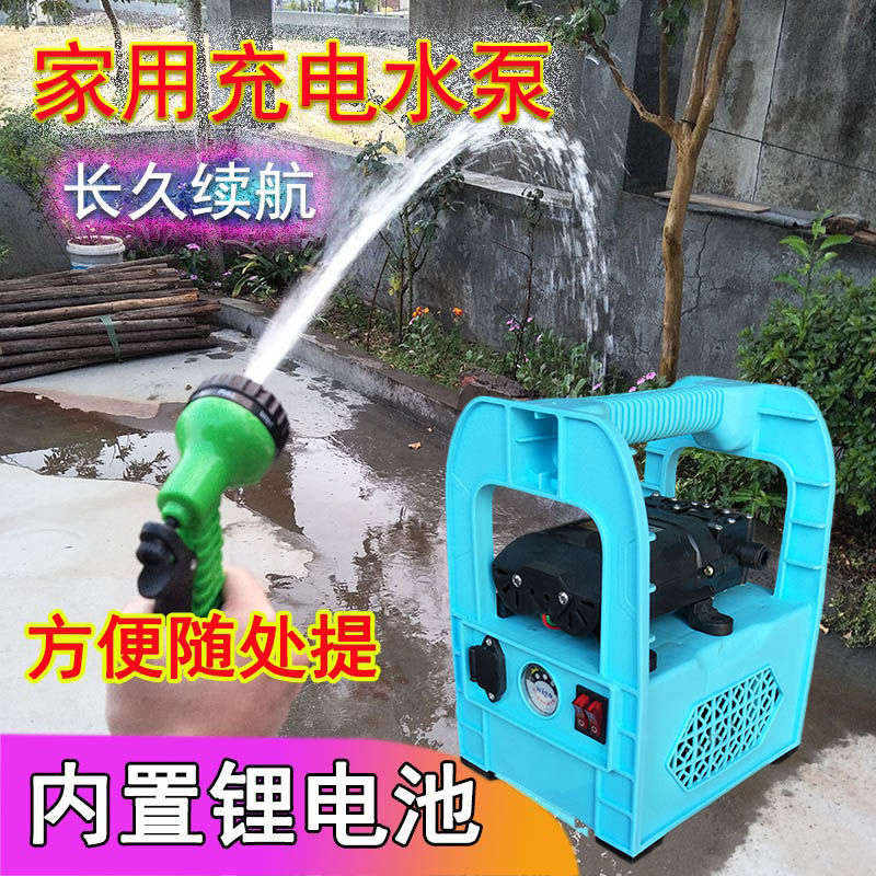 12v家用电动车蓄电池抽水泵小型电瓶抽水机便携式浇菜园野外洗澡