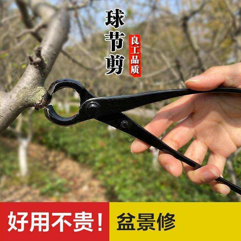 枝叶荔枝球形剪剪枝盆景胡桃钳专业弹簧修枝剪养护套装叶芽球节