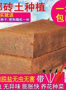 耶砖椰壳营养土椰糠叶康棷砖土爬虫垫材养花种菜无菌通用种花用品