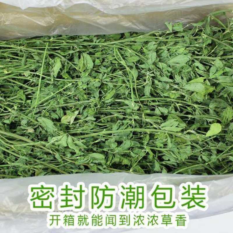 兔粮草幼兔草粮兔粮兔饲料草天竺鼠宠物兔兔食豚鼠兔饲料公兔用品