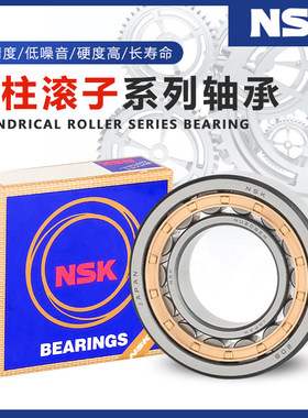 NSK 进口圆柱滚子轴承RN NUP313 314 315 316 317 318 319 320 EM