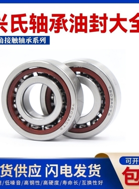 哈尔滨兴氏双联丝杠轴承 760315 760316 760317 DB DF DT TN1 P4