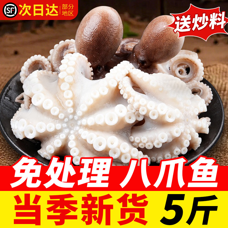 八爪鱼新鲜鲜活小章鱼小八爪迷你大爆头捞汁寿司生鲜商用水产批发