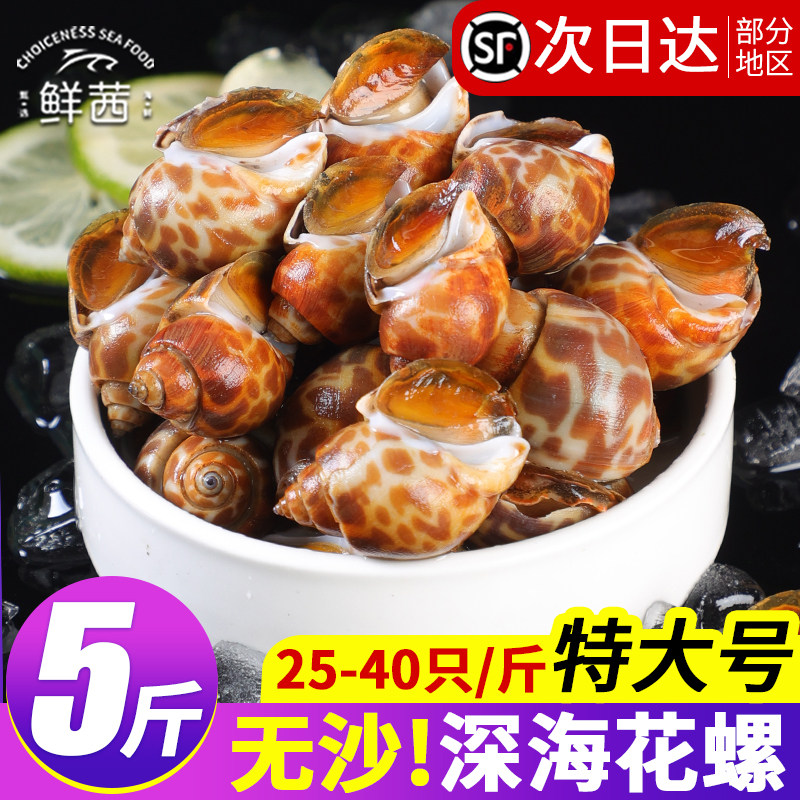 新鲜花螺鲜活特大无沙海螺特大号香螺鲜冻东风螺捞汁海鲜批发商用