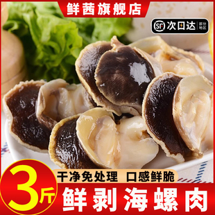 现剥海螺肉大海螺冷冻海螺肉去头去内脏海鲜水产商用批发顺丰包邮