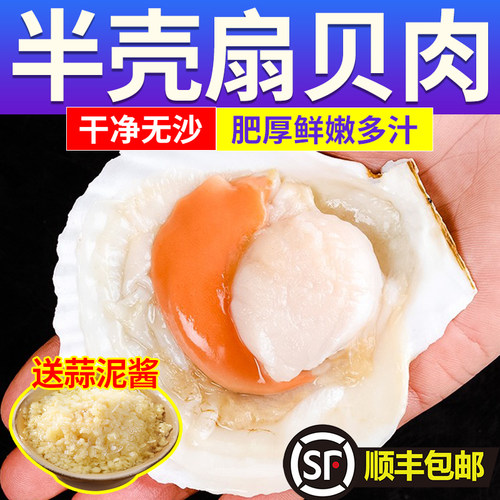 鲜茜严选生鲜半壳扇贝送蒜泥酱