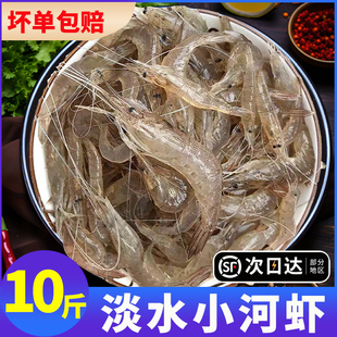 小河虾鲜活鱼虾草虾冰冻新鲜大号青虾小米虾速冻土虾冷冻批发商用