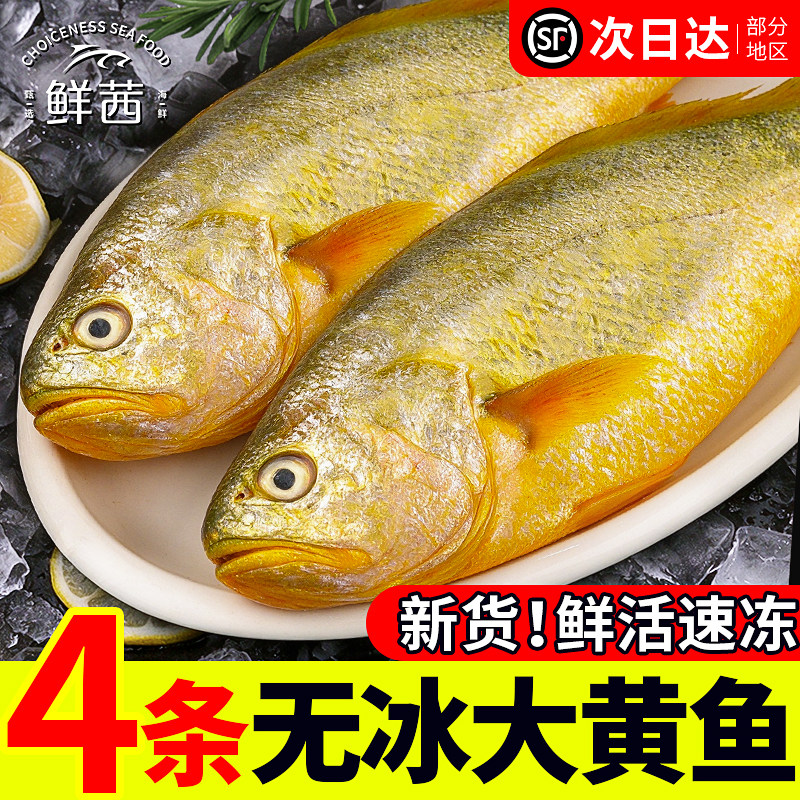 大黄鱼特大新鲜冷冻野生深海鱼宁德小黄鱼黄鱼鲞鲜活冰鲜商用批发