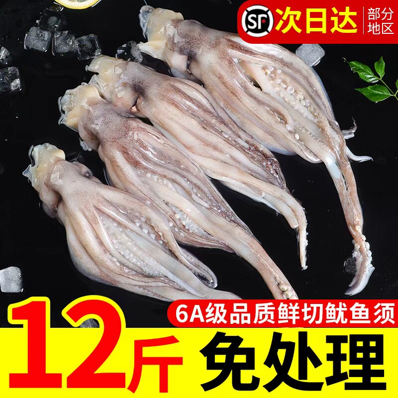 鱿鱼须新鲜鲜活冷冻生鲜二本足章鱼尤鱼铁板鱿鱼烧烤海鲜商用批发 - 实物图