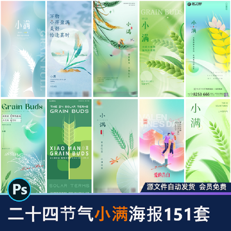 24二十四节气小满宣传创意海报插画地产商业节日PSD设计素材模版