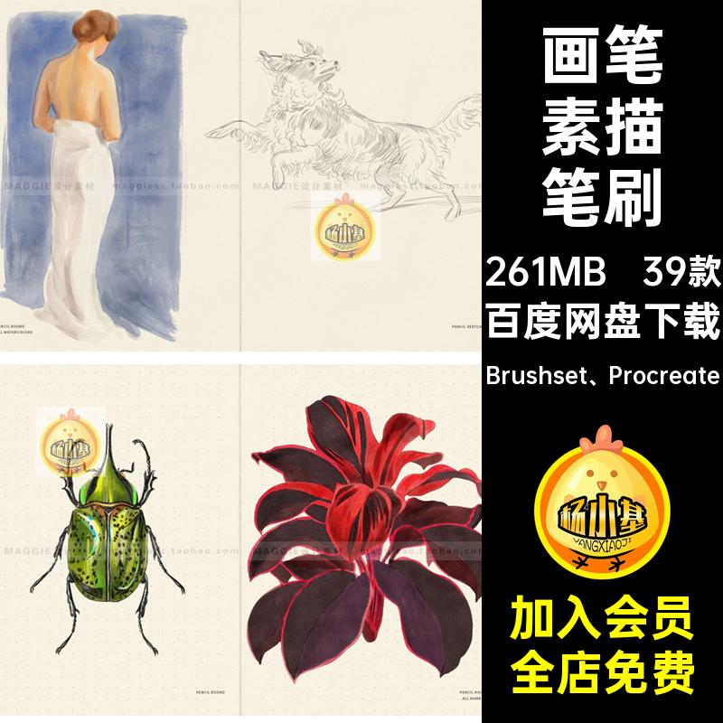 39款日常素描Procreate笔刷纹理铅笔画笔木炭Daily水彩笔插Sketch