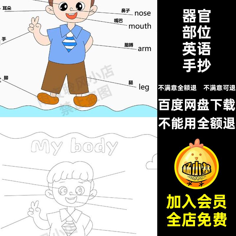 器官部位英语手抄报线小学生黑白单词body我的稿身体模板My英文