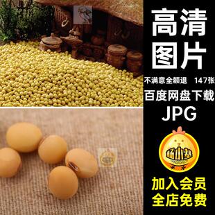 美食菜品JPG素材图库菜谱合成豆类食材摄影图片喷绘147张高清大豆