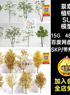 乔木植物SU模型SKP三维花卉大师庭院花草树木库灌木真实4800款