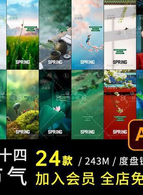 D608中国风二十四节气海报整套春分清明谷雨立夏小满芒种夏至AI