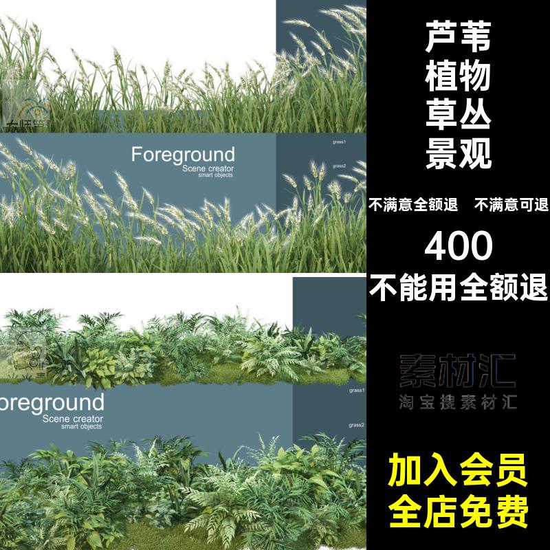 小麦植物背景芦苇植物草丛景观蕨类海报绿色植物麦穗ps蕨类海报