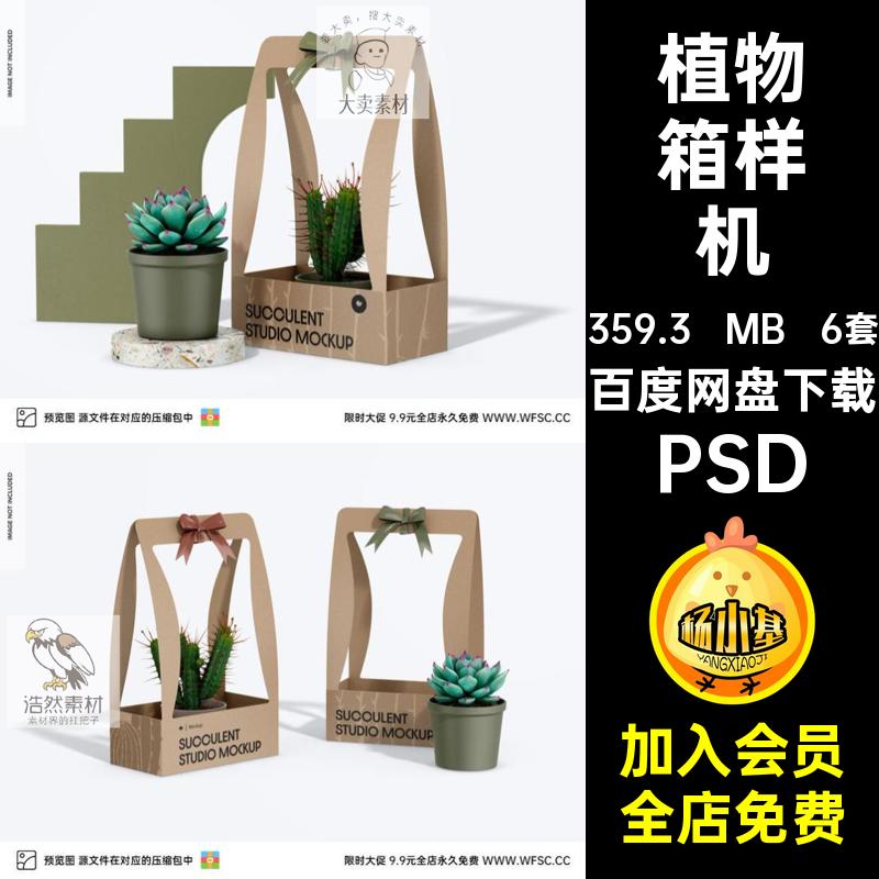 6套盆栽箱样机贴图模板效果图片拍摄纸盒植物箱样机psd免PSD盆栽