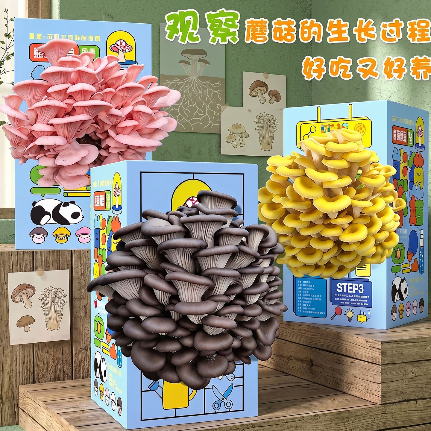 【万人选购】网红爆款高颜值玩具图片
