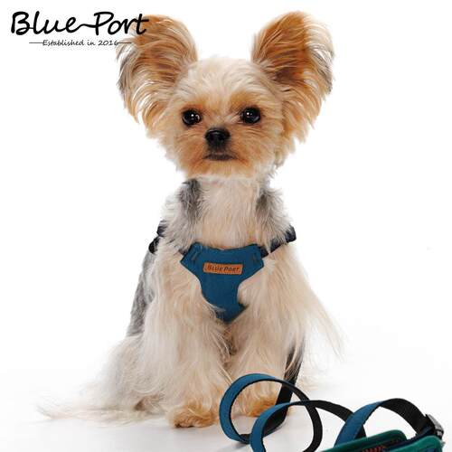 Blueport狗狗胸背牵引绳遛狗套装