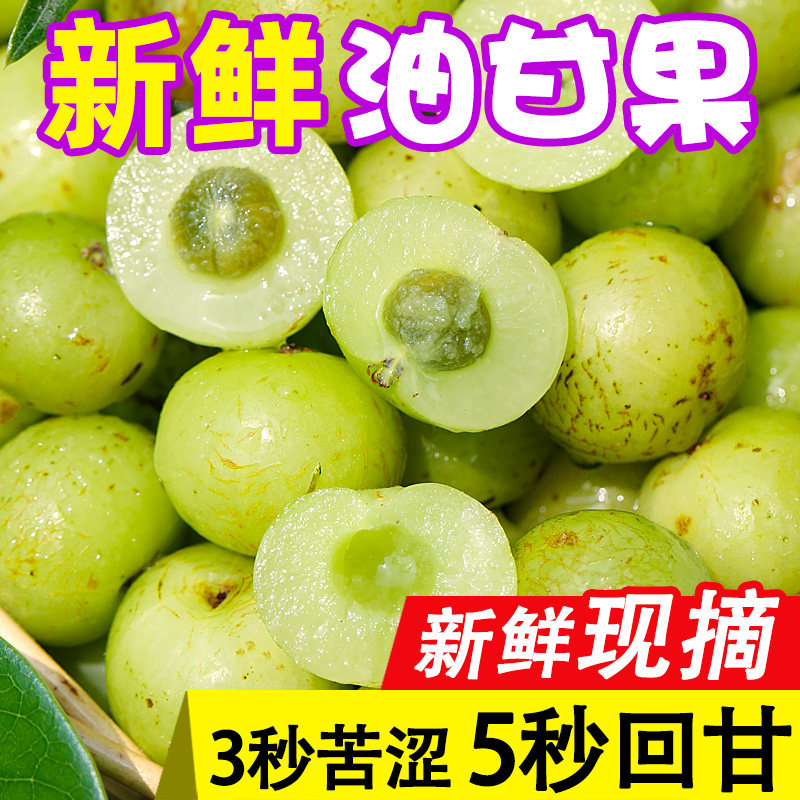 潮汕油柑果新鲜余甘果奶茶店专用玉油甘子水果滇橄榄1斤整箱包邮在类目 水产肉类/新鲜蔬果/熟食, 新鲜水果, 其它中 - 来自Buy2taobao.com提供专业的淘宝代购服务