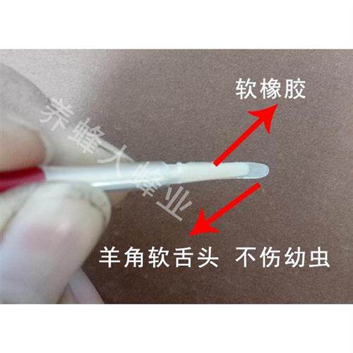 羊角移虫针 养蜂工具移虫针养蜂 蜜蜂移虫羊角【 3支装】蜂具包邮