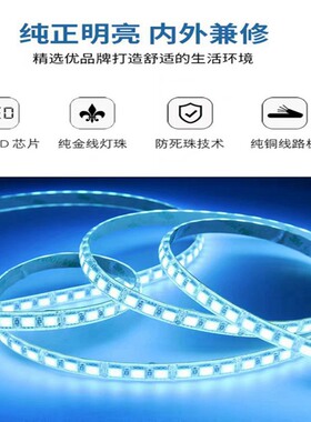 12V24V冷蓝LED冰蓝色灯带冰蓝光灯条12伏24伏浅湖蓝超薄贴片220V
