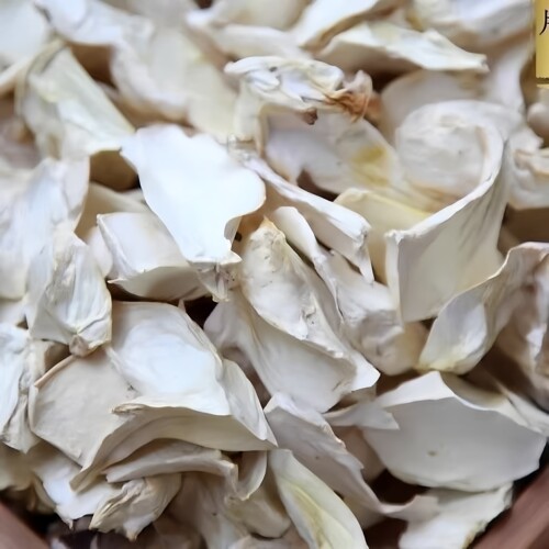 干杏鲍菇菌菇农家自制干货大全土特产商用饭店炖汤煲汤菜250/500g