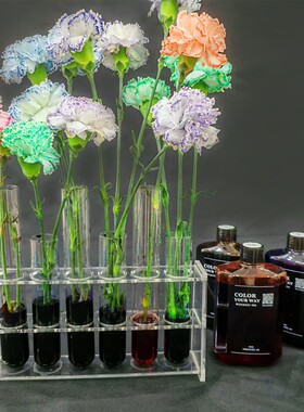 鲜花染色剂吸染 吸色剂 郁金香康乃馨布朗尼 午夜蓝 薄荷曼波染色