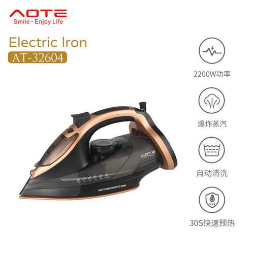 外贸热销欧规干湿两用电熨斗陶瓷底板自动清洁蒸汽 Electric lron