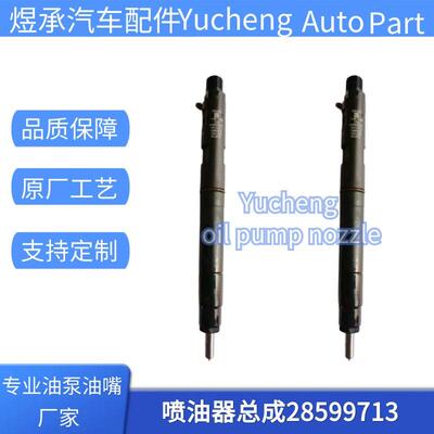 28599713共轨柴油喷油器1100100XED95适用于德尔福 4D20M发动机